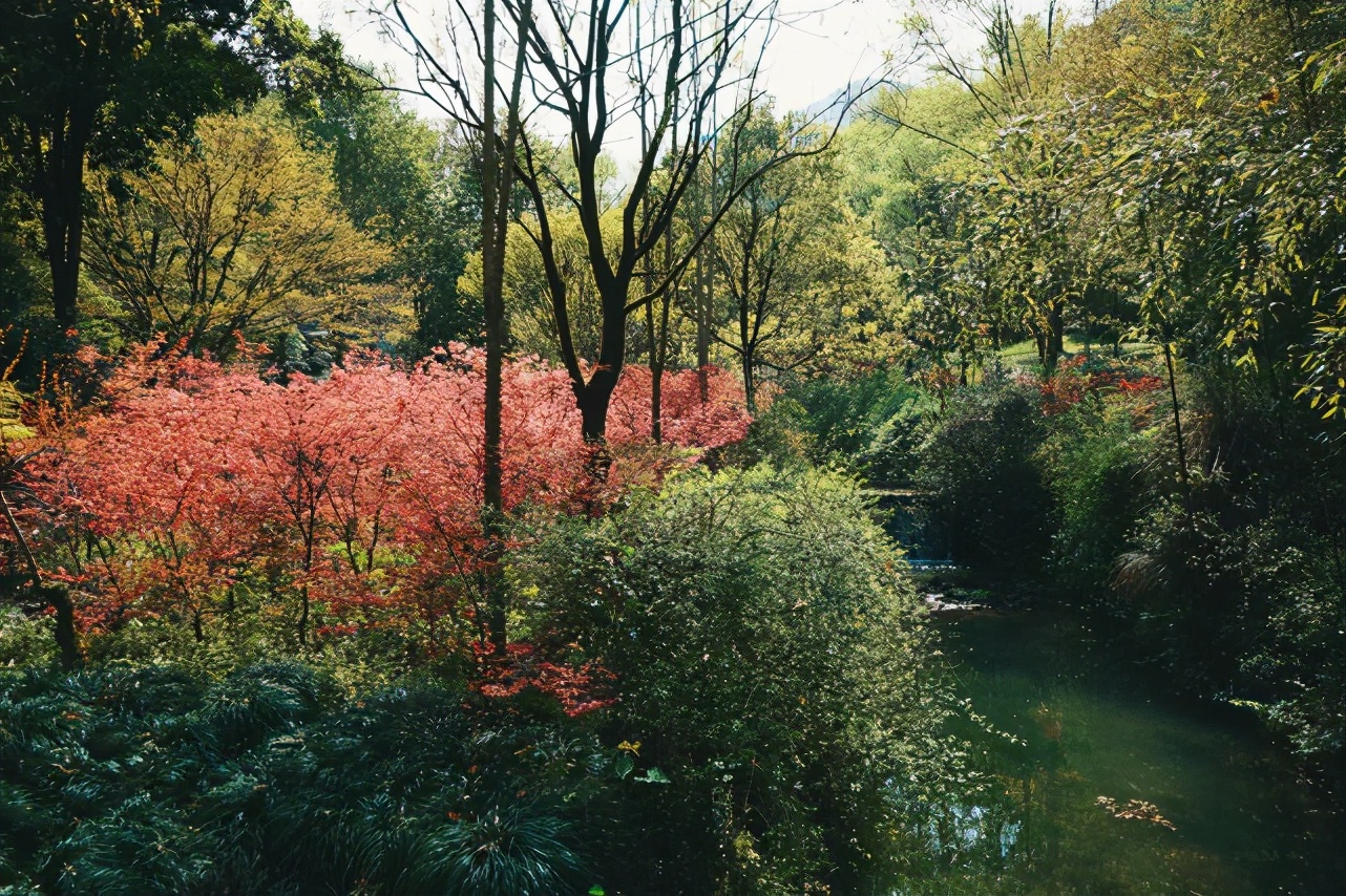 缙云仙都仙气飘飘的旅行胜地,缙云丽水好玩的地方