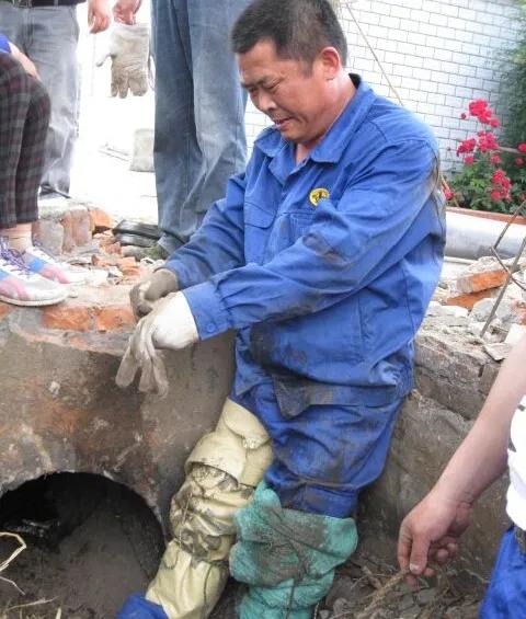 「劳模风采」描绘美丽乡村新画卷—记扬州市劳动模范、江都区真武镇真武村*党**总支部书记戴尔庆