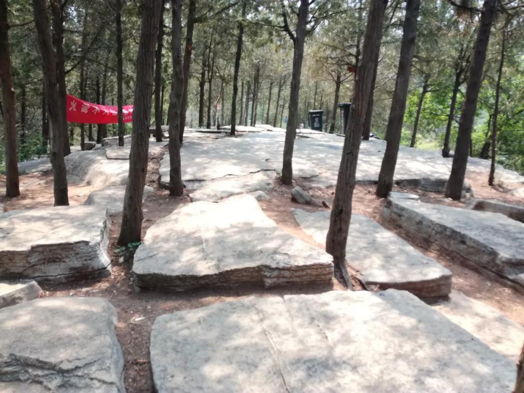 济南张家界自驾游路线推荐攻略,藏在济南市区的世外桃源