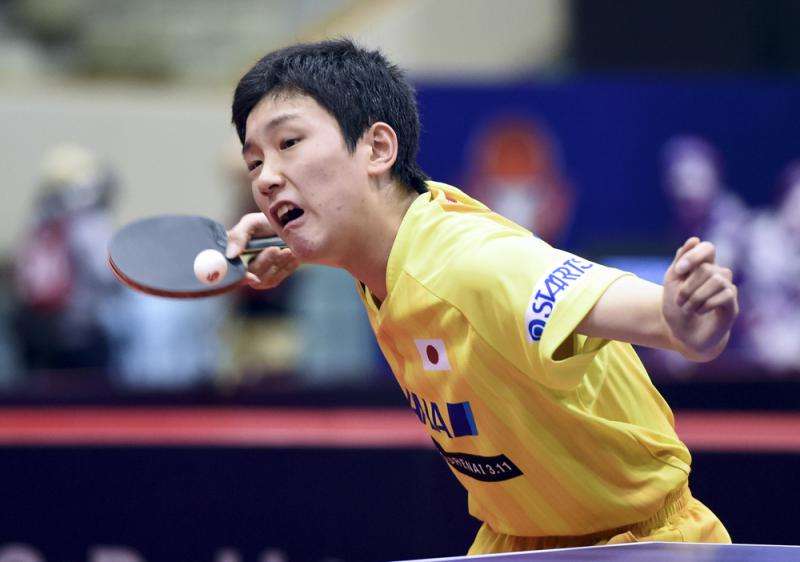 捷克公开赛波尔,捷克公开赛张本智和