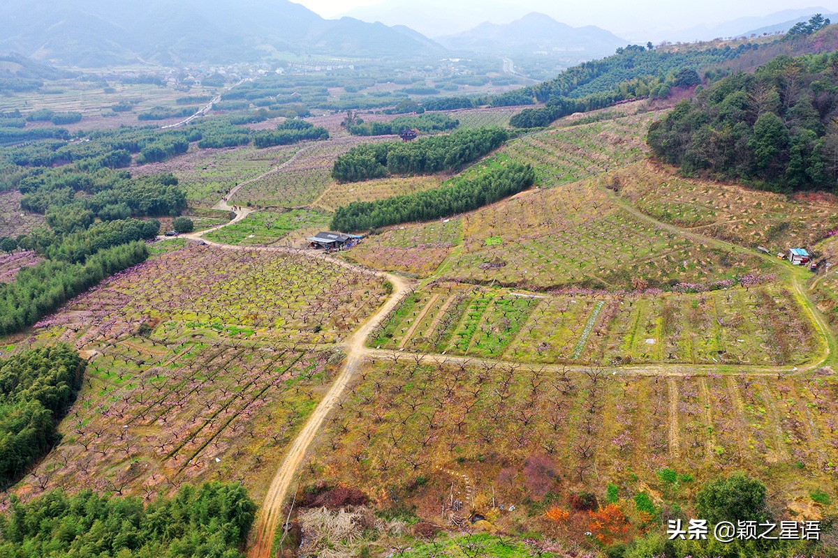天下第一桃花源风景区,天下第一桃园图片