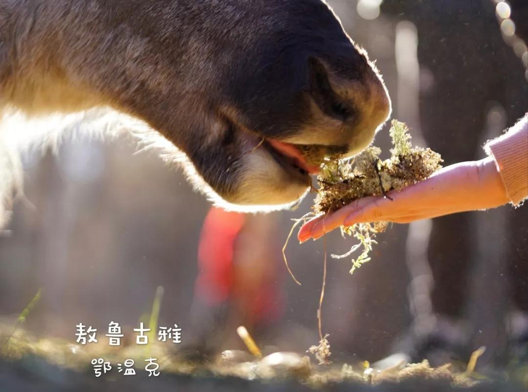 武汉周边自驾一日游小众免费,国内最值得自驾游旅行的地方