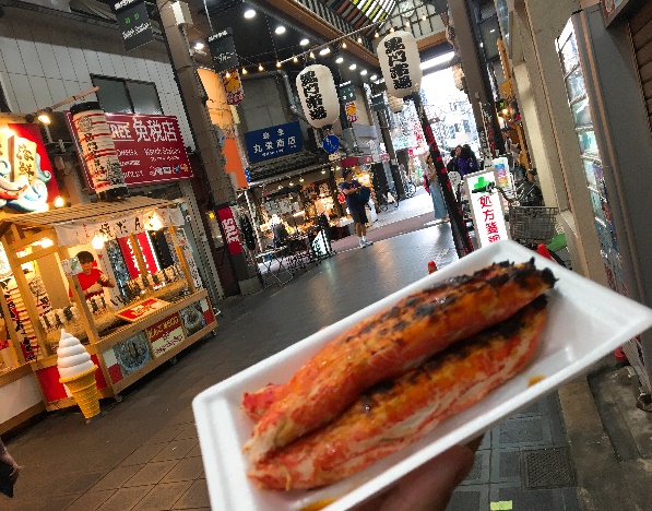 日本关西四日游攻略,日本关西之旅完整版