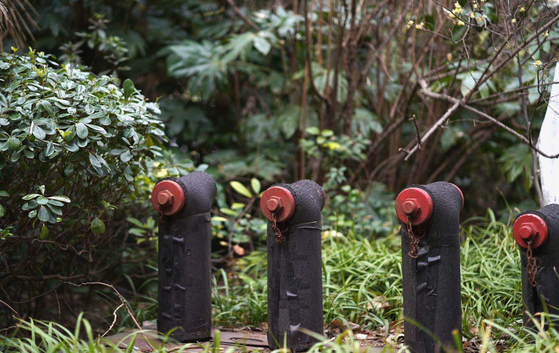 新手小白必备的相机配件,新手推荐买的相机配件