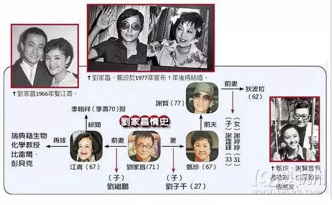 香港十大花花公子,香港花花公子排名