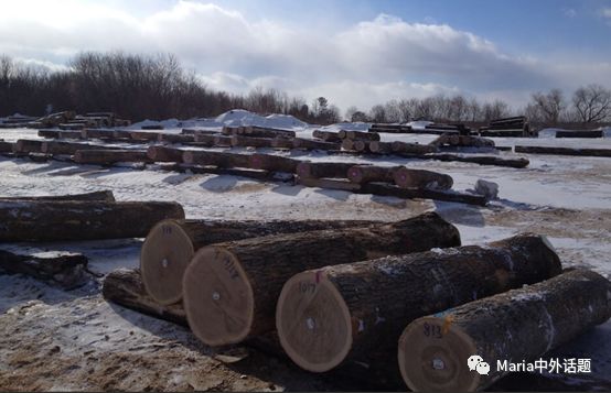 美国硬木干货价格,北美硬木排行