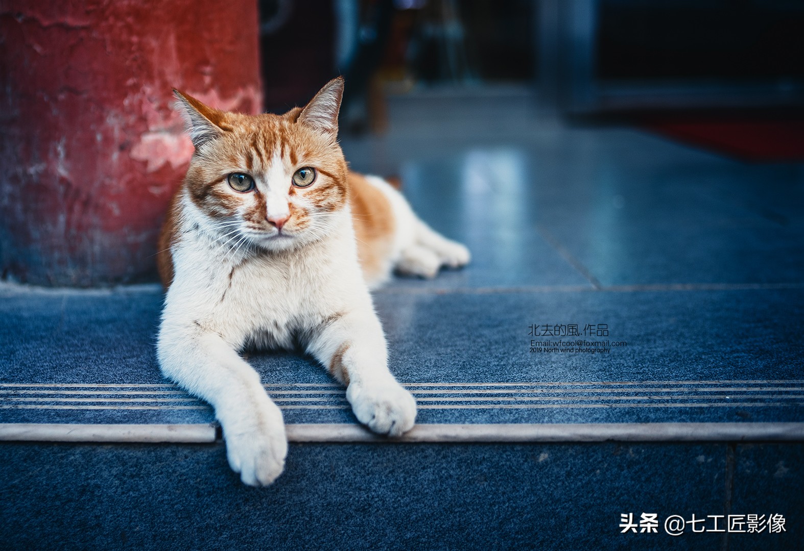 七工匠24mmf1.4评测,趣味体验测试