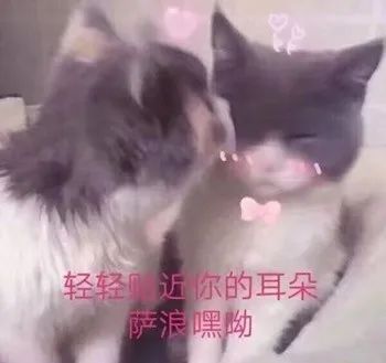 空姐的直播工作日常,空姐直播日常