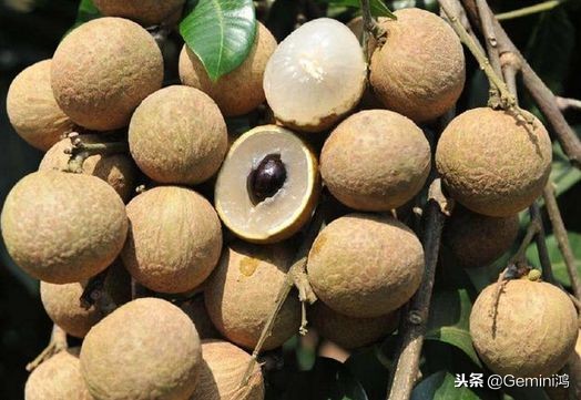 10年包浆老串,老包浆老串