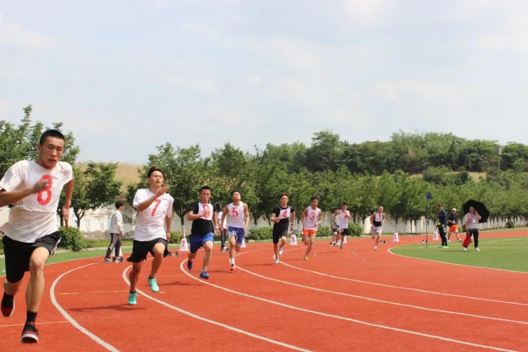 飒!123张图,带你“动+静”看赛场