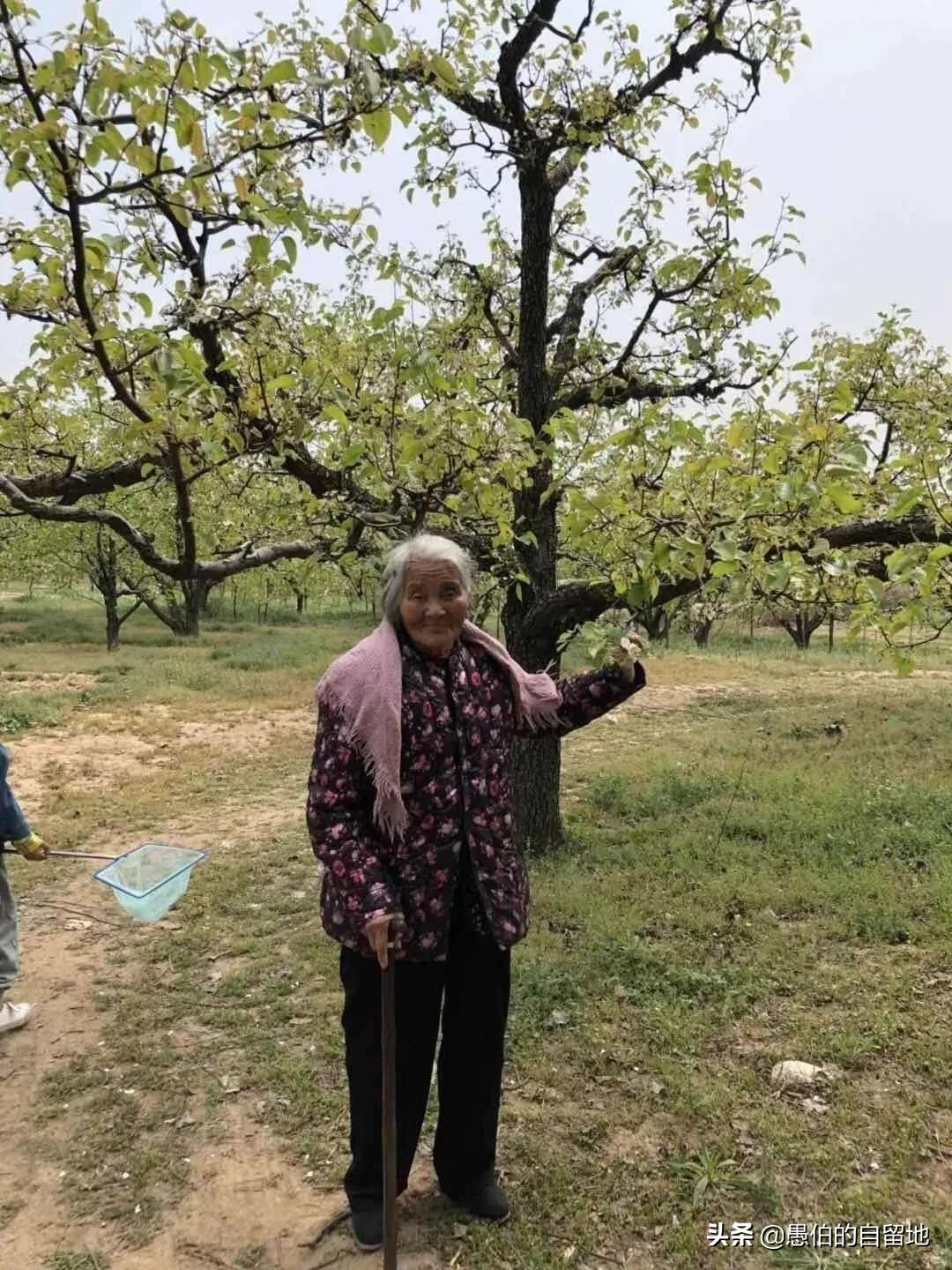 故事：沛县的刘培华，背着年迈的母亲去旅游