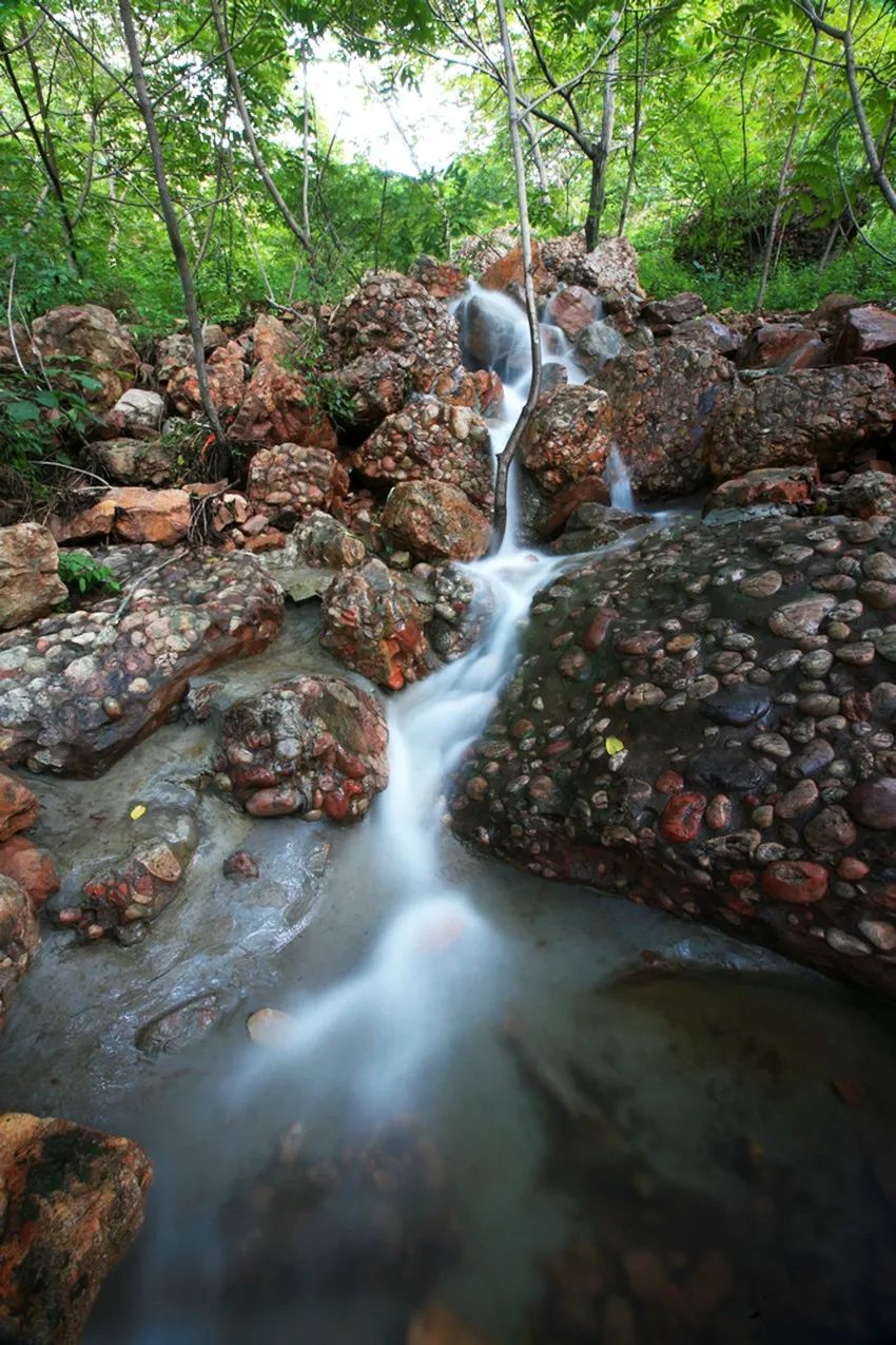 炎炎夏日躲树荫下才最凉快,远离城市喧哗清凉一夏