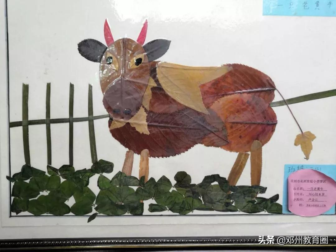 邓州市花洲实验小学学区全市素质教育展评中喜获两项先进单位称号