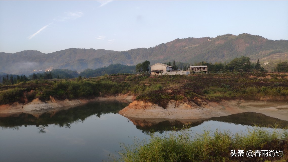 钓鱼水库窝料怎么选择,野钓窝料的打法
