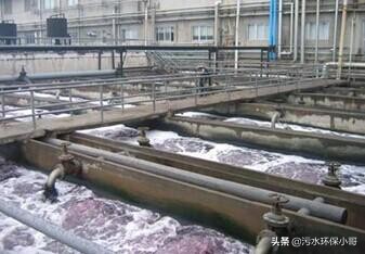 活性污泥的培养和驯化葡萄糖用量,污水处理活性污泥培养不起来