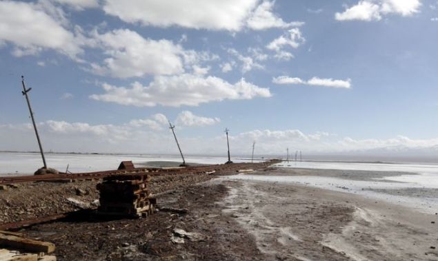 tiffany8万的钢丝球,tiffany钢丝球为啥这么贵