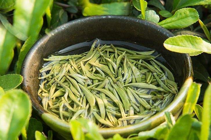 浙江56元一斤的碧螺春是真的吗,明前600一斤碧螺春价格高吗