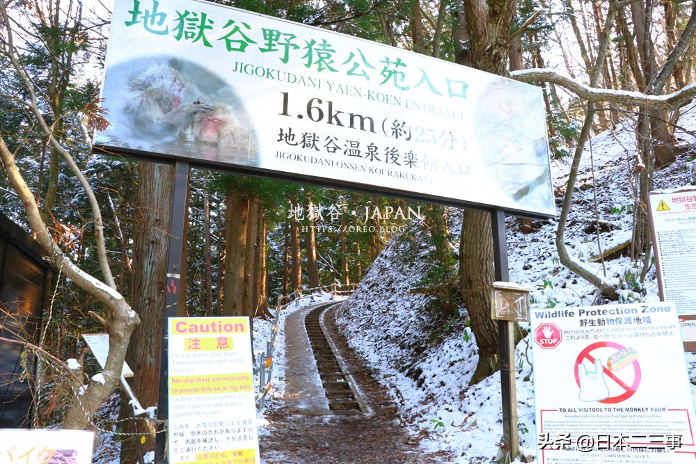 另类日本新体验：看猴子怎么泡温泉！