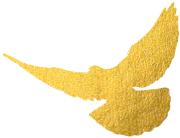 基层动态|“吹响哨服好务”东关街道积极打造*党**建引领基层治理新模式