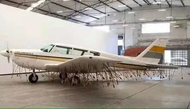 哨兵岛死亡事件,哨兵岛土著杀人事件