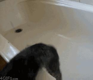 为什么不洗澡身体会变臭,长时间不洗澡会得病吗