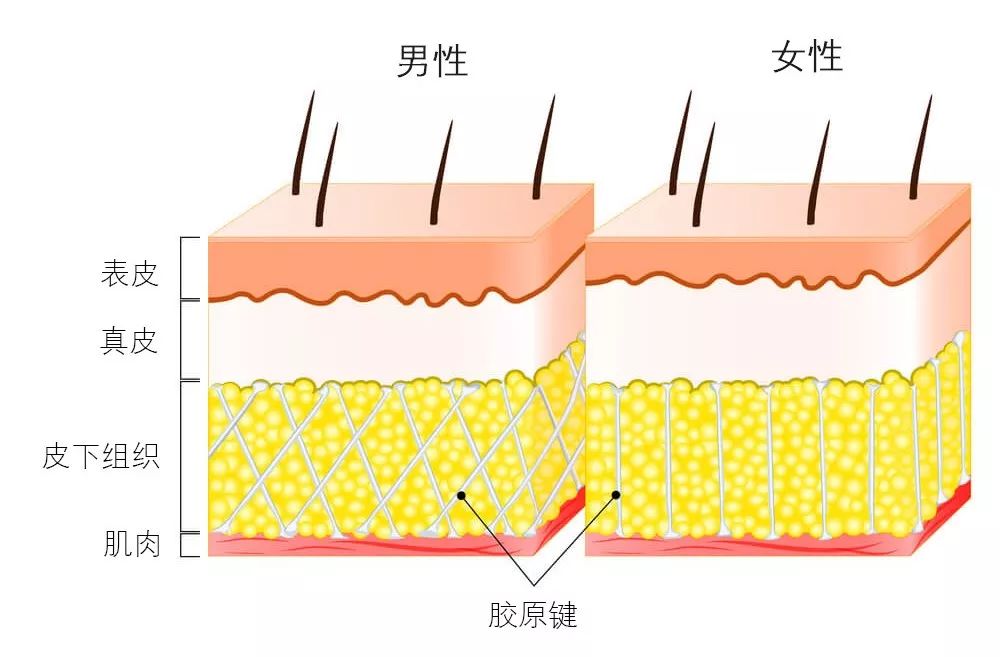 如何打造干净阳光的男生,如何打造慵懒随意的气质男生