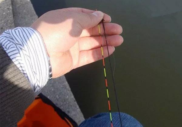 禁渔哪些地方可以钓鱼,河道禁渔期是否可以钓鱼