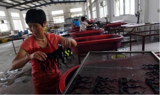 收头发4年了能卖多少钱,收头发辫子的能赚钱吗