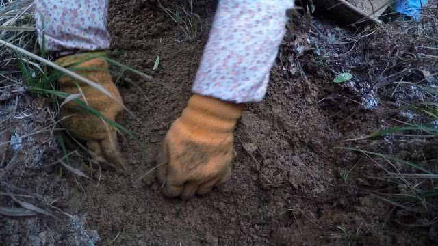 靠山吃山靠水吃水怎么回事,靠山吃山靠水吃水哪里都有