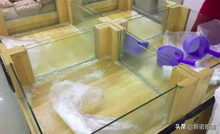 新密市长,新密市政府领导