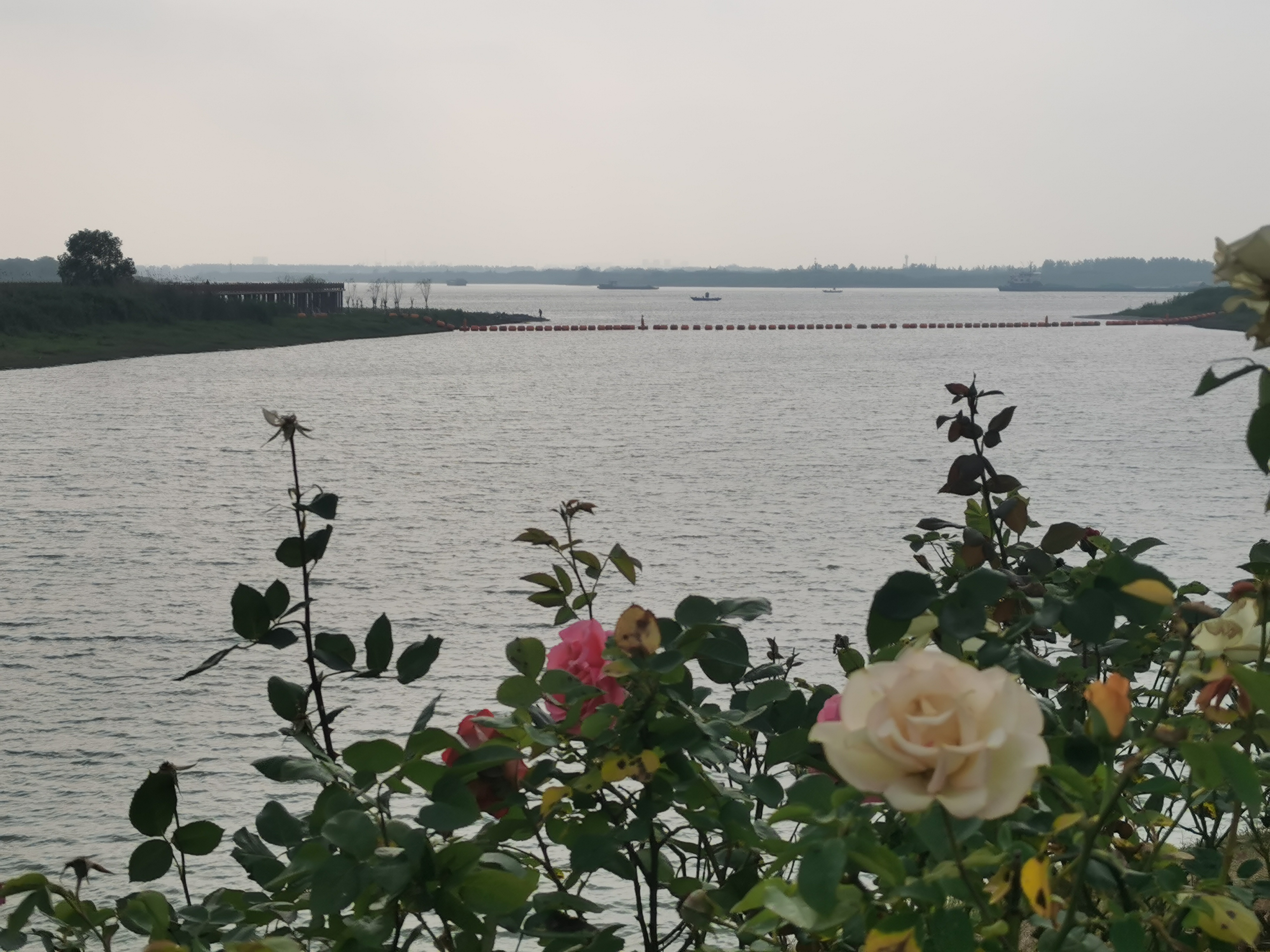 曾经的脏乱差变成了现在的新景观,从面目全非到焕然一新