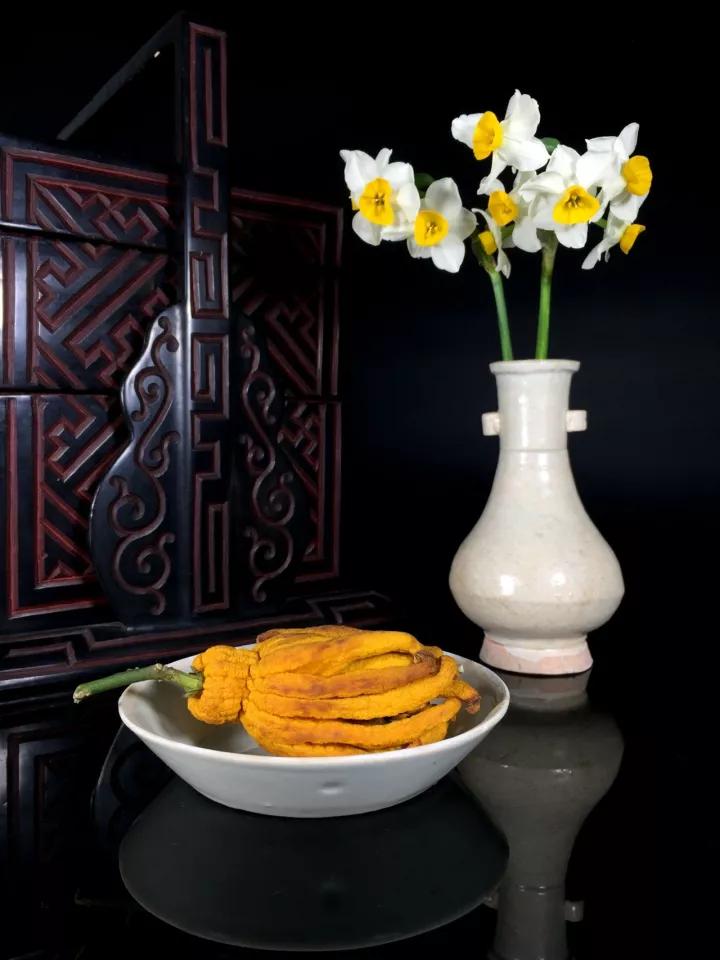 佛手只长叶不开花,佛手只有一种果子