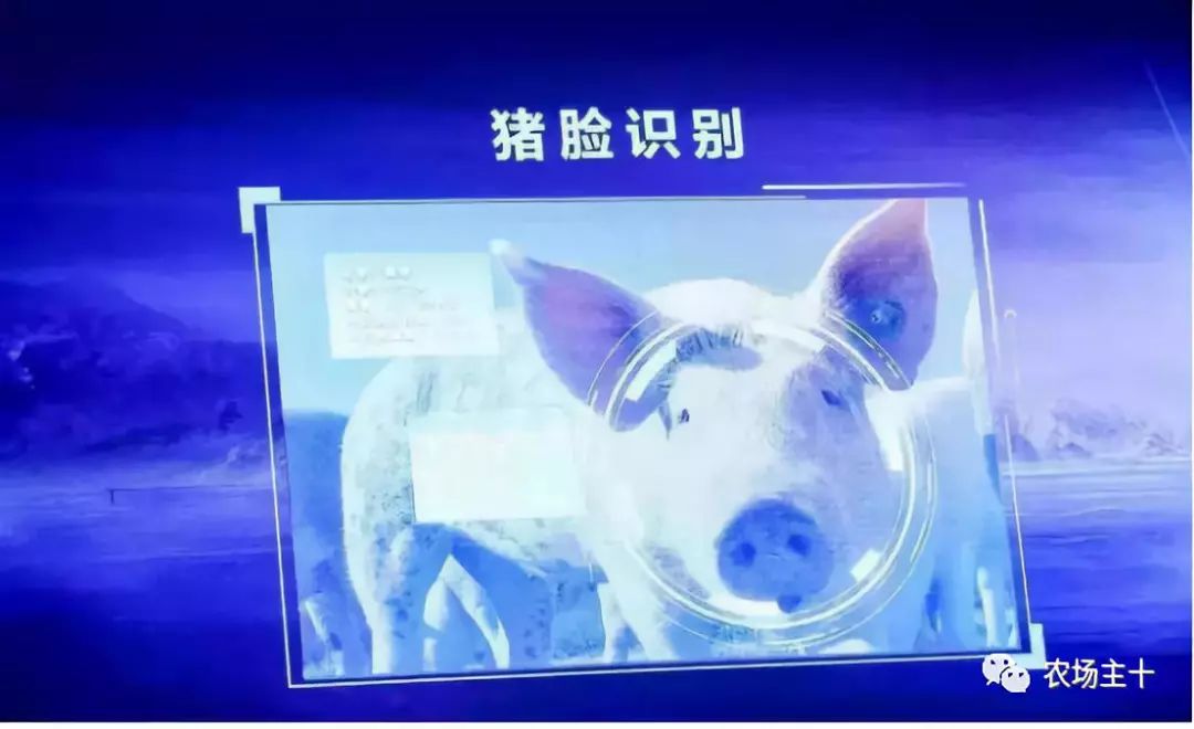 养猪场市场容量或变化趋势有哪些,养猪场的市场前景