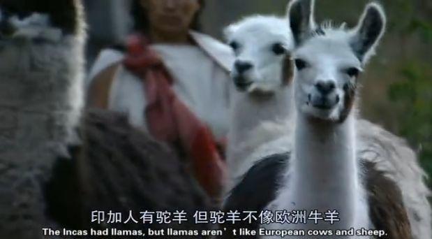 这次疫情让世界明白中国的重要性,到今天疫情怎么样了