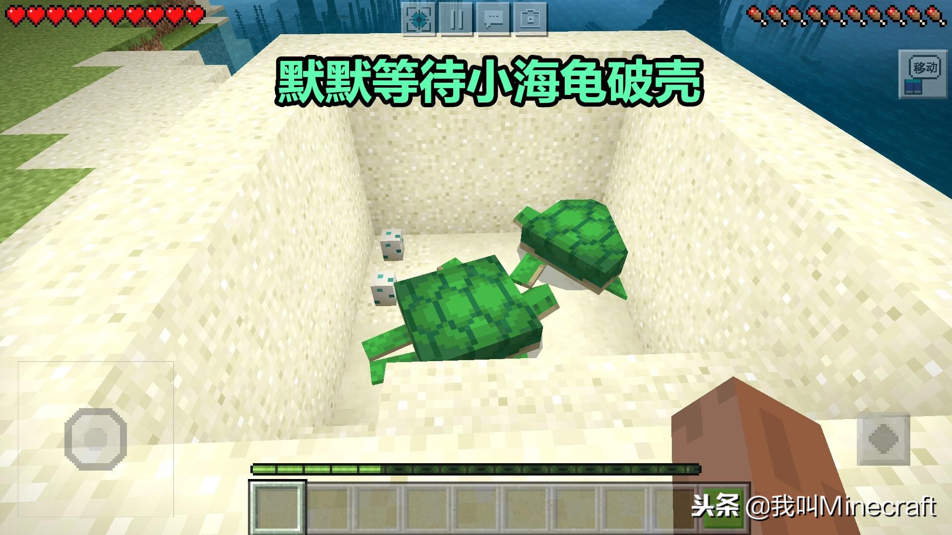 我的世界原版单人生存最后一期,我的世界原版生存模式通关