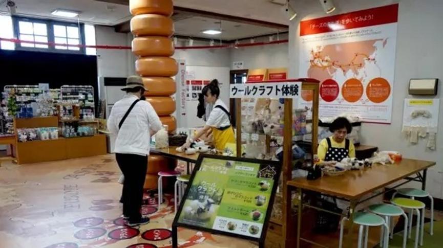 这家日本牧场，因为一只会“微笑”的小羊，游客增长1.5倍