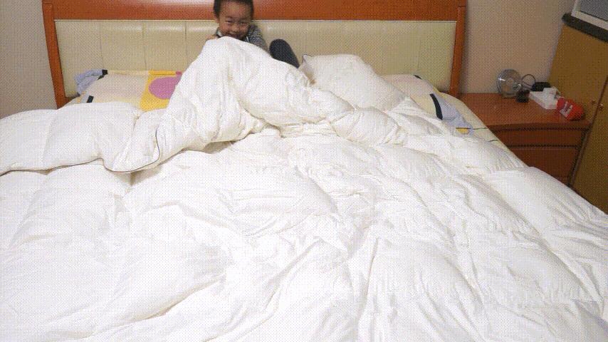 轻柔高档鹅绒被,高档轻柔鹅绒被