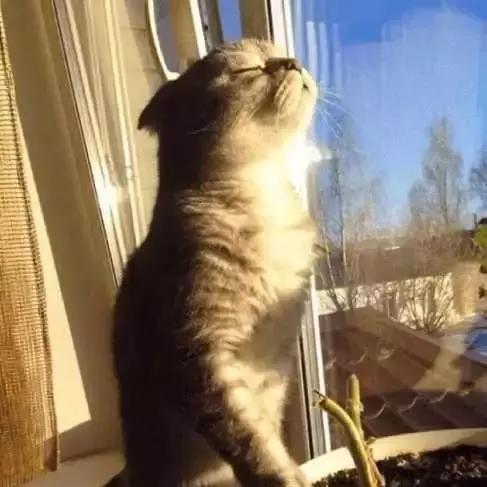 燃烧你的卡路里陈若昕,燃烧你的卡路里健身博主