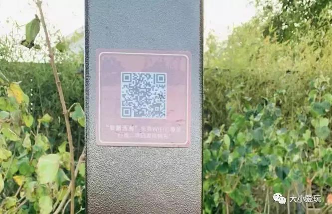 免费公园滑梯,六支沟滑滑梯公园