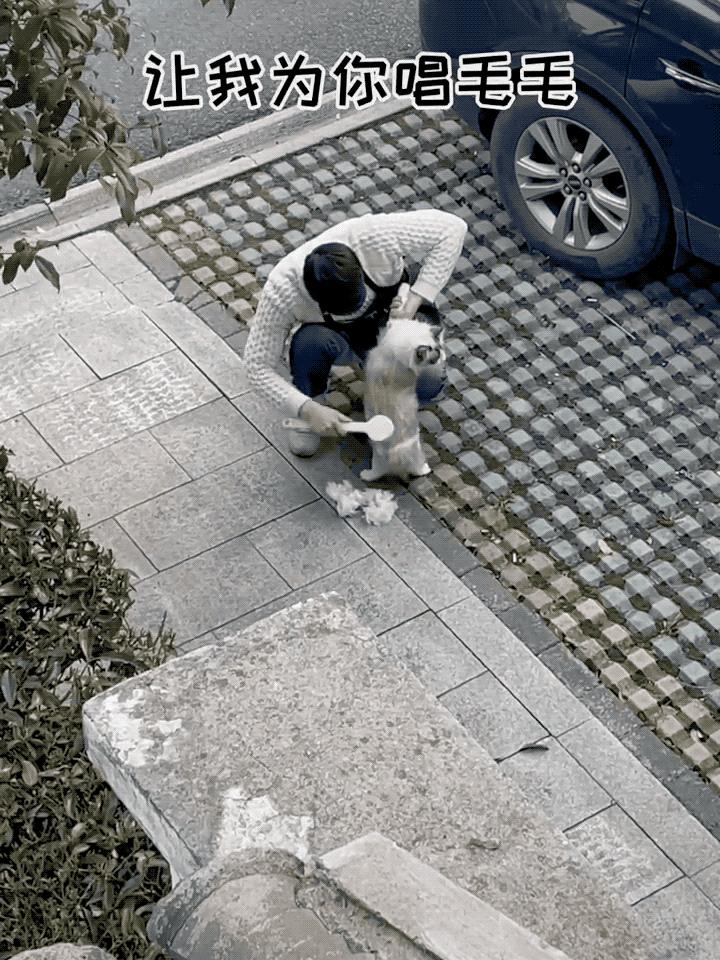 网友晒出5颗巨型毛球，救命！我快要窒息了