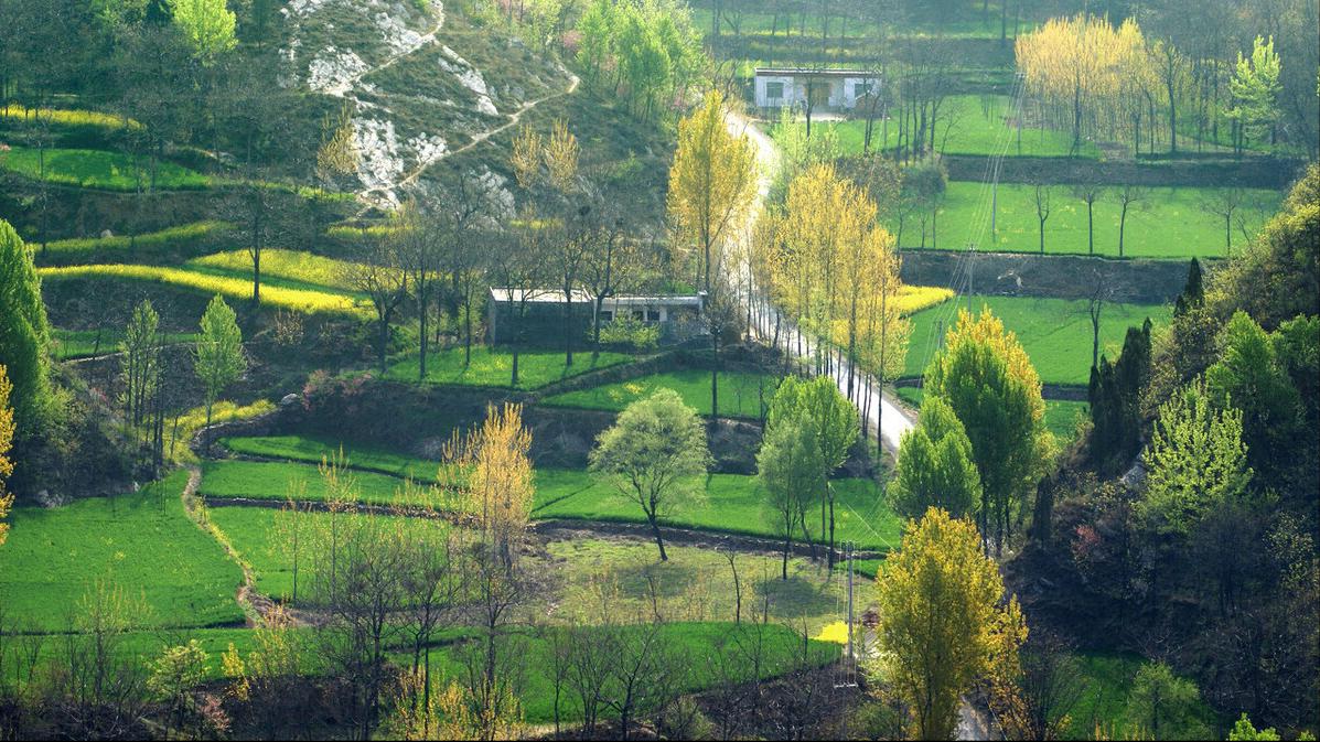 兼职代购的堂姐:当教学成为了副业,是什么把老师逼成了这样?