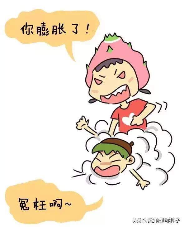 一分钟教你看懂新加坡,三分钟看懂新加坡