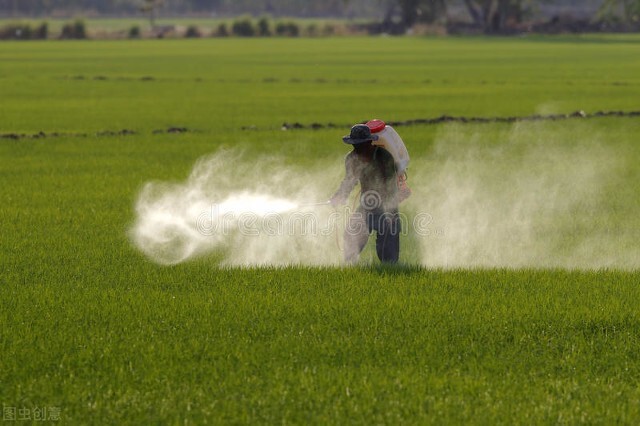 农药使用如何防止药害发生,解农药药害用什么方法最好
