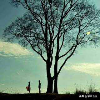 中年人的爱情感悟,中年人爱情感悟句子