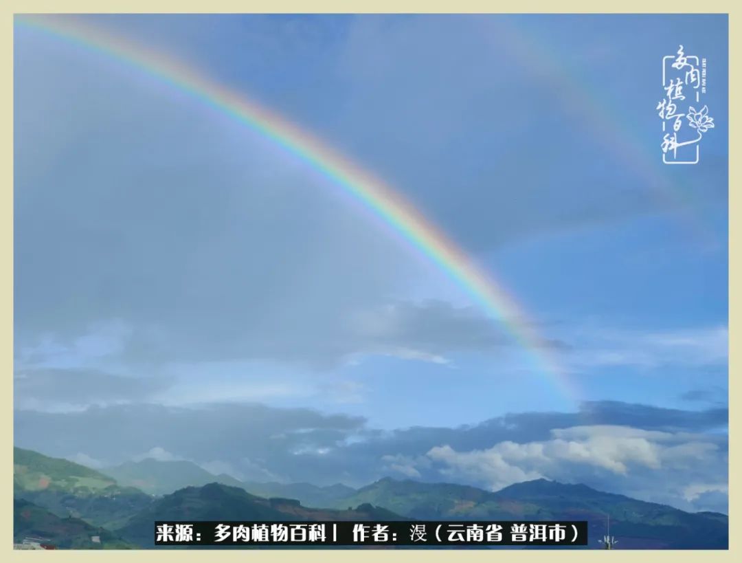 深情不及久伴,厚爱无需多言,择一“爱”,护一生