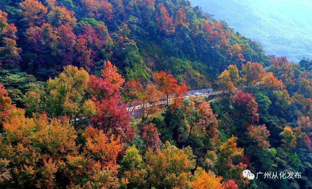 请转告全国白衣战士,从化有一份特别的礼物送给你们!