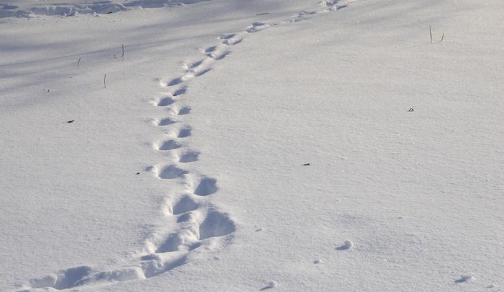拍案惊奇湖中女尸完整版,拍案惊奇离奇案件