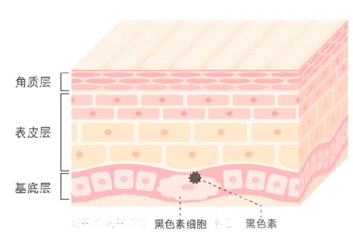 李佳琦评价国货精华干皮,李佳琦推荐olay小白灯