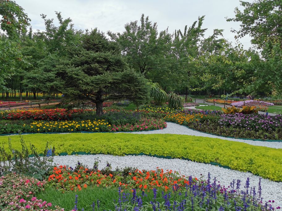 百花园里花里花争艳,百花园里百花香