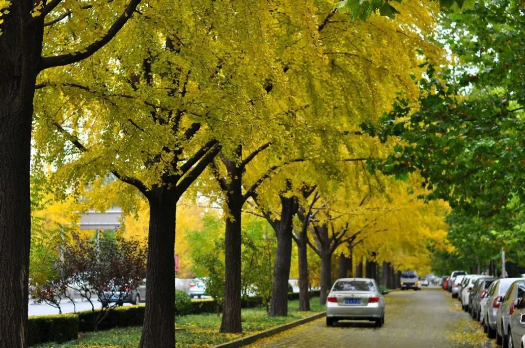 去北京不可错过的地方,不去热门景点游北京